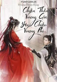 chien-than-vuong-gia-yeu-chieu-vuong-phi